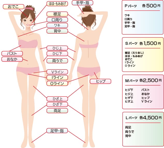 部分脱毛対応部位