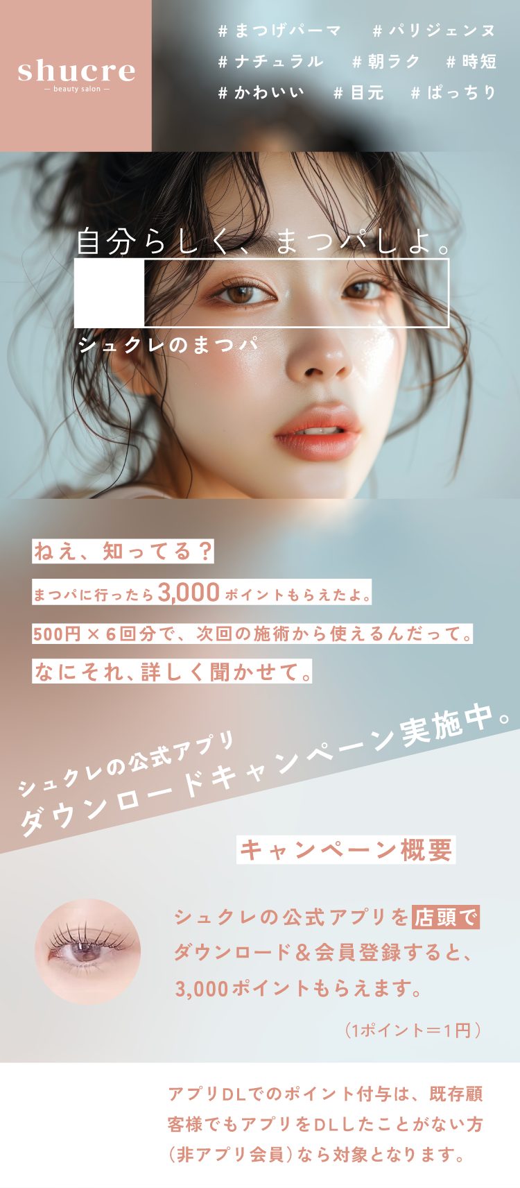 キャンペーン案内