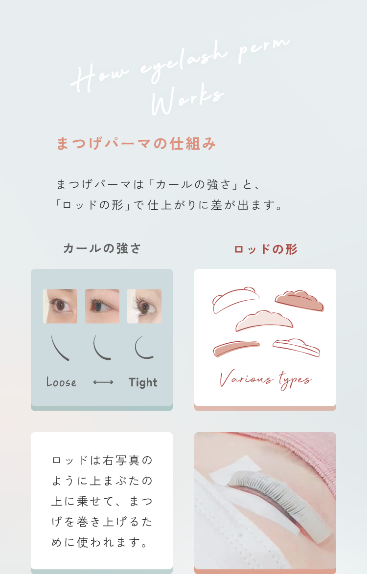 まつげパーマの仕組み1